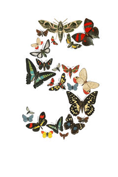 Fable 5